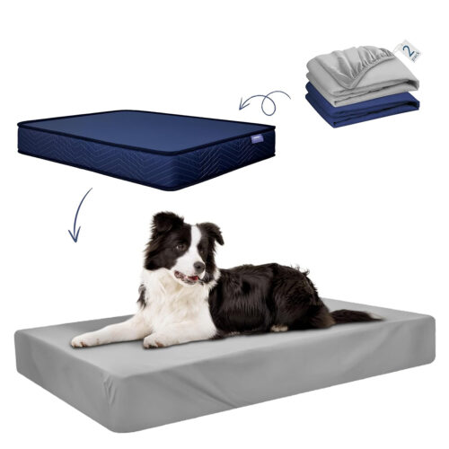 Cama para perro mediano con resortes y lavable