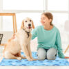 Tapete refrescante para perro – 50x65 cm, ideal verano