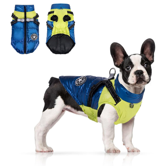 Chaqueta impermeable y cortaviento para perro