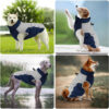 Chaleco impermeable wishkit para perro mediano/grande