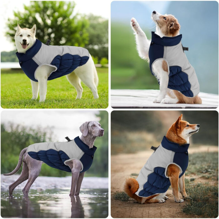 Chaleco impermeable wishkit para perro mediano/grande