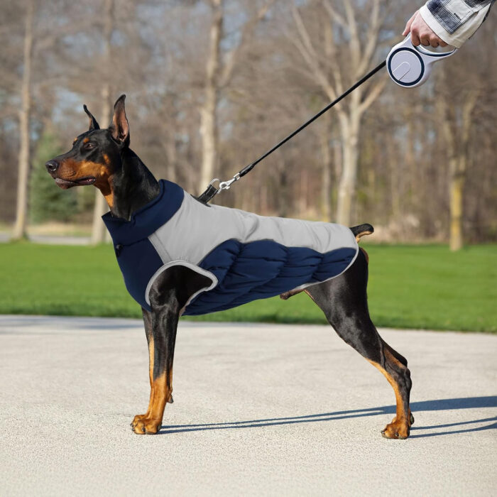 Chaleco impermeable wishkit para perro mediano/grande