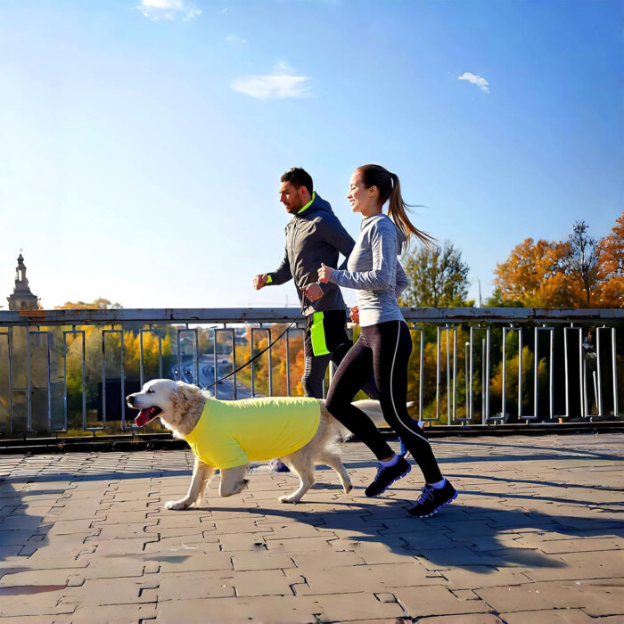 Playera fresca de verano para perro o gato