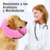 Collar Inflable Isabelino para Mascotas Post‑Cirugía