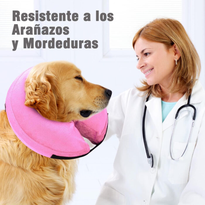 Collar Inflable Isabelino para Mascotas Post‑Cirugía