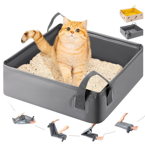 Caja de arena plegable e impermeable para gato