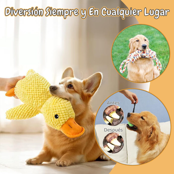 Juguete Peluche para Perro y Juguetes para Cachorros